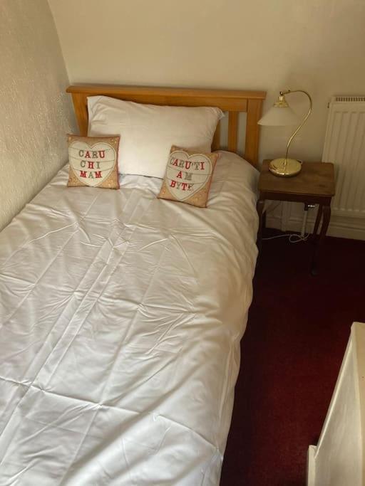 Lovely Peaceful 2 Bed Cottage Llandderfel 외부 사진