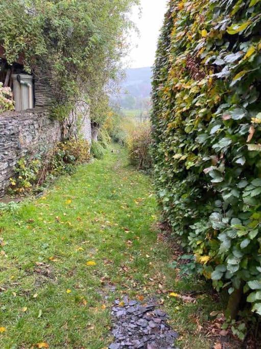 Lovely Peaceful 2 Bed Cottage Llandderfel 외부 사진